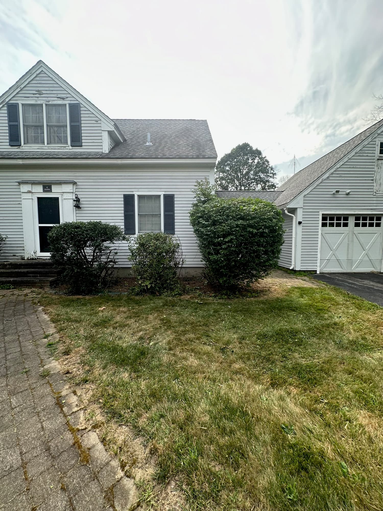 Same shrub trimmed into clean shape, house fully visible