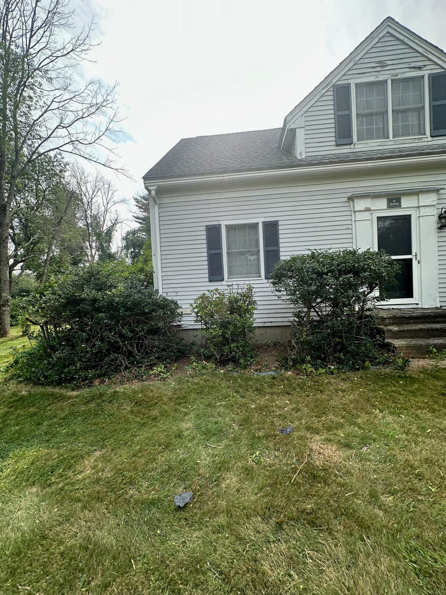 Same spot with three neatly shaped shrubs, window and steps fully clear