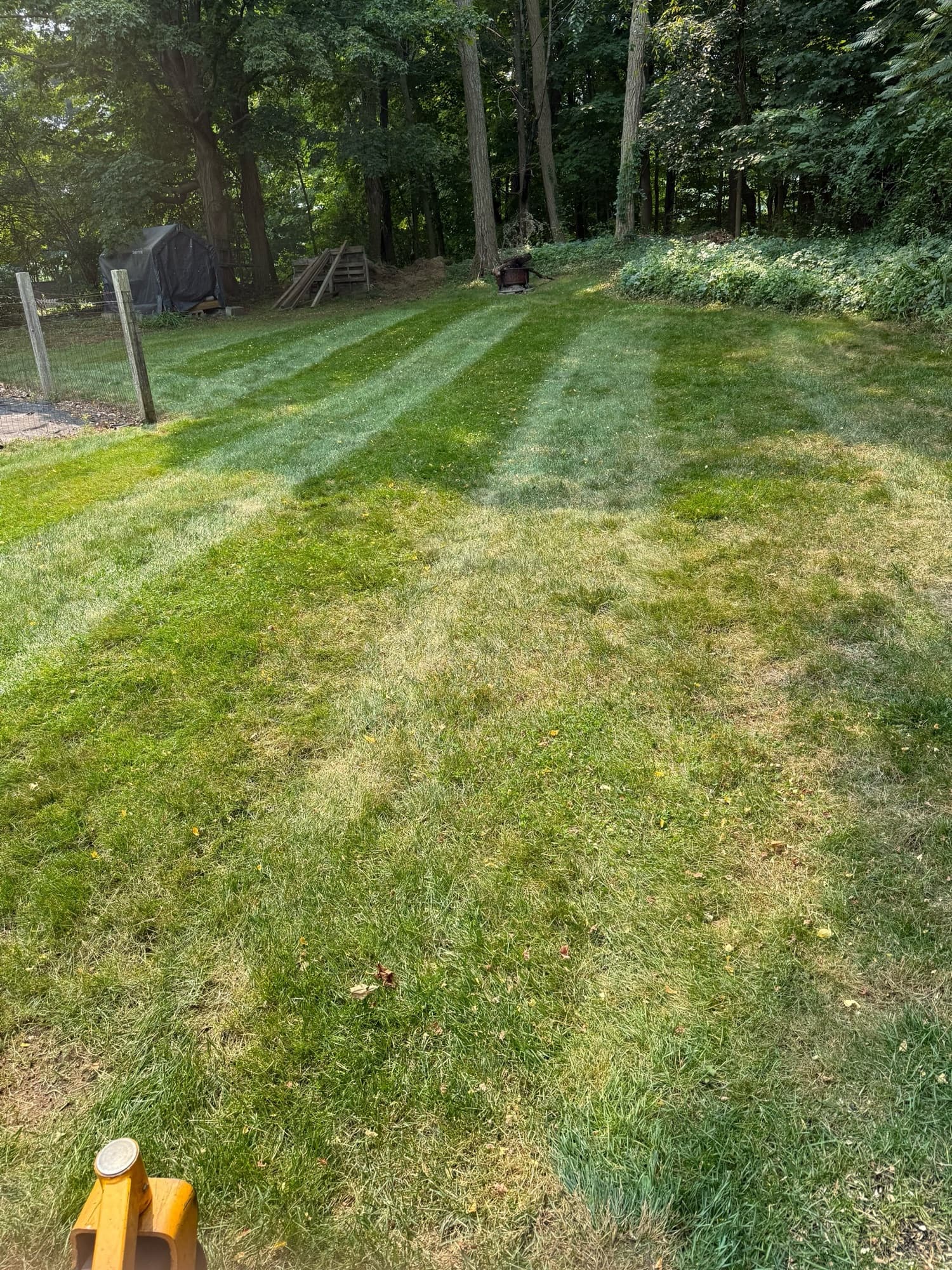 Striped backyard lawn freshly cleaned up along the tree line