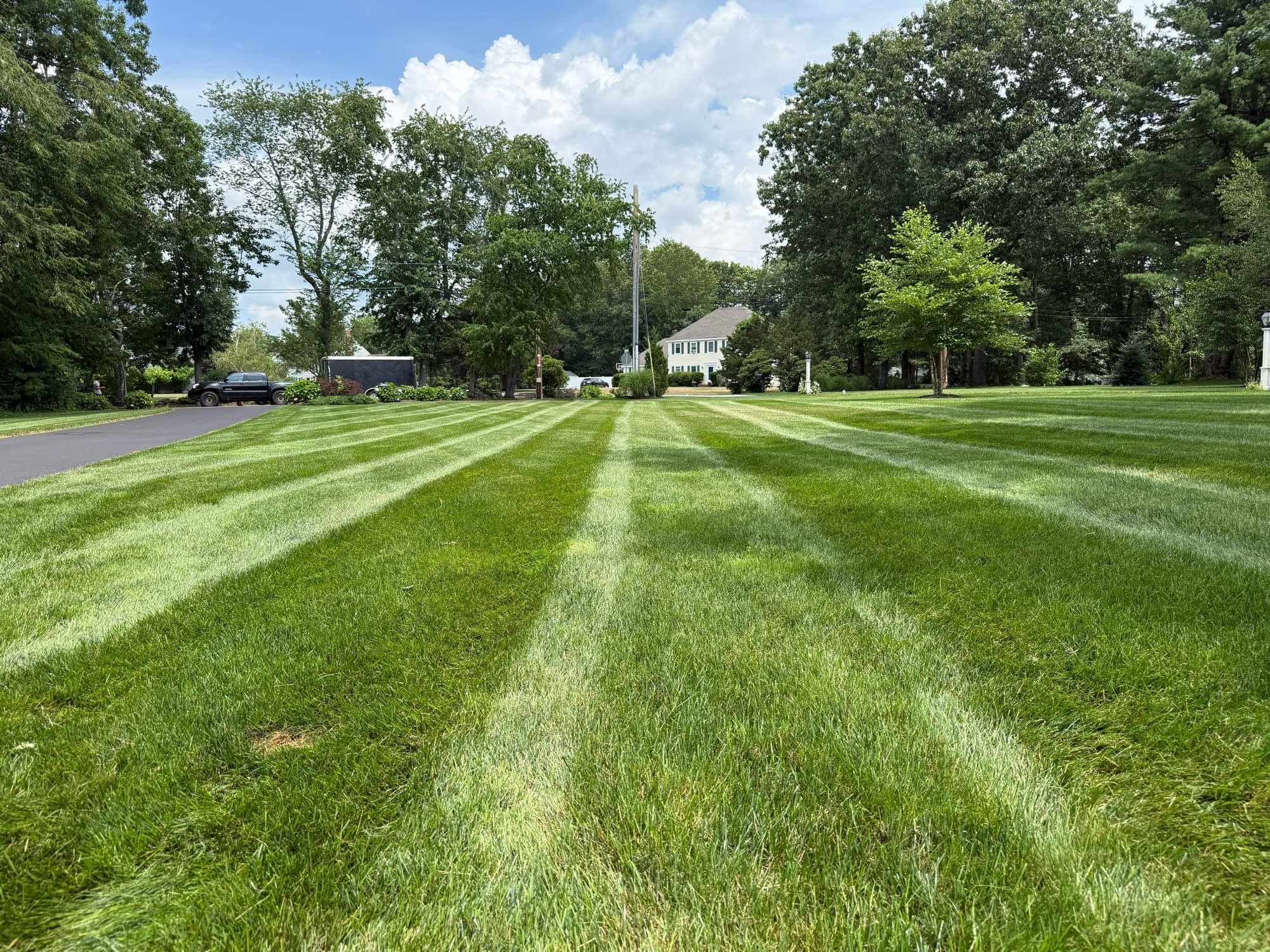 Wide striped lawn under summer clouds