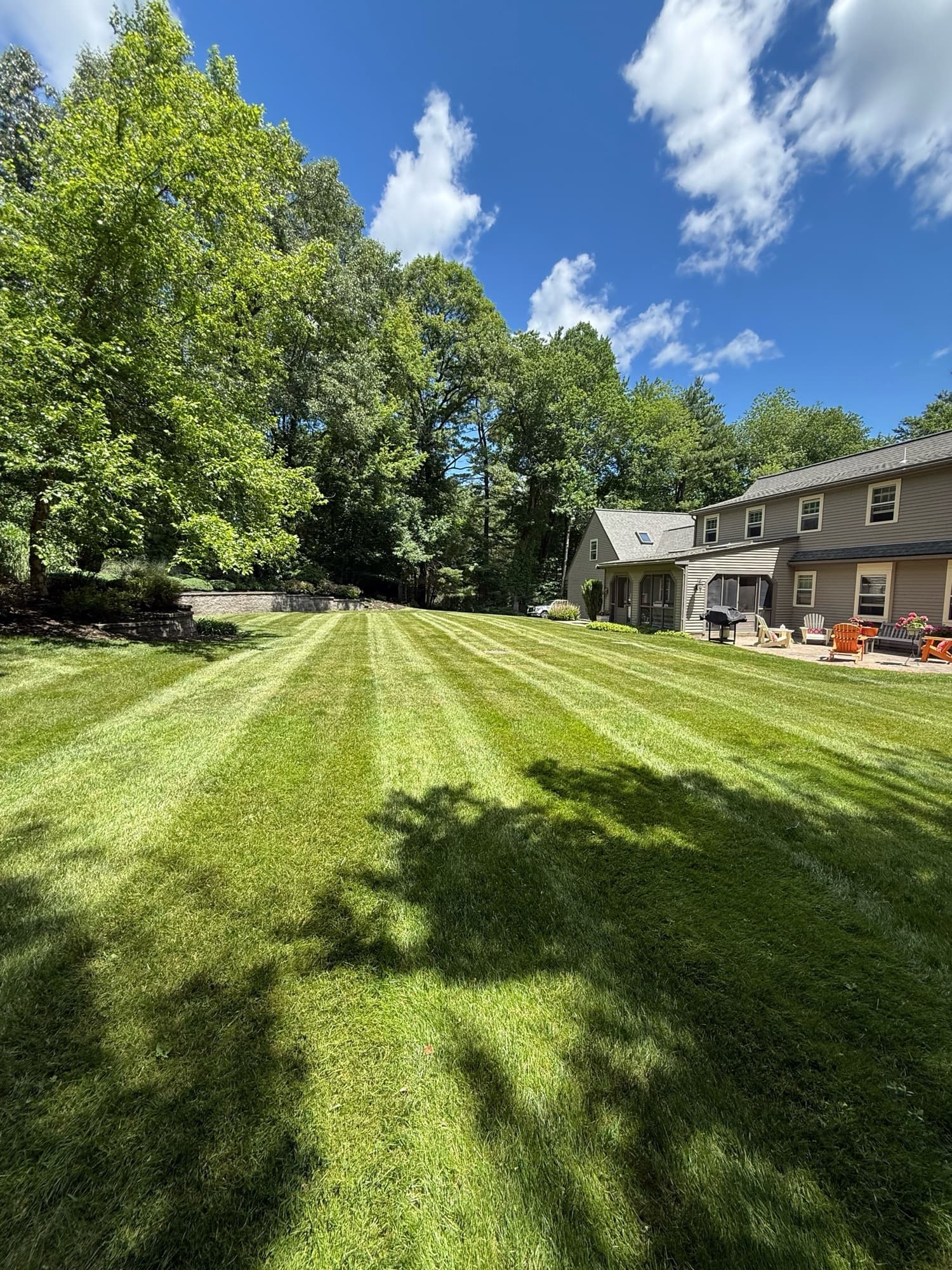 Sunny striped backyard lawn along a stone retaining wall