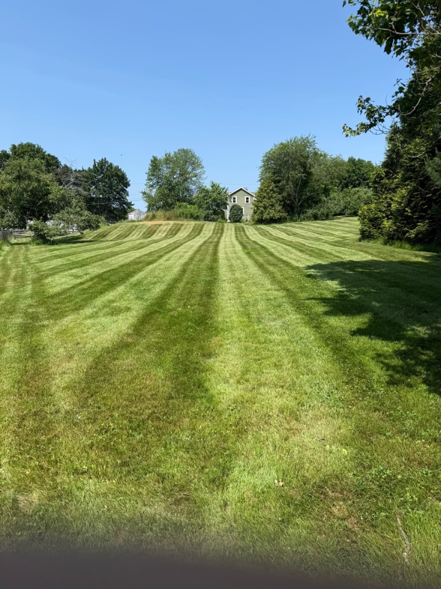 Freshly mowed lawn with crisp stripes stretching toward trees