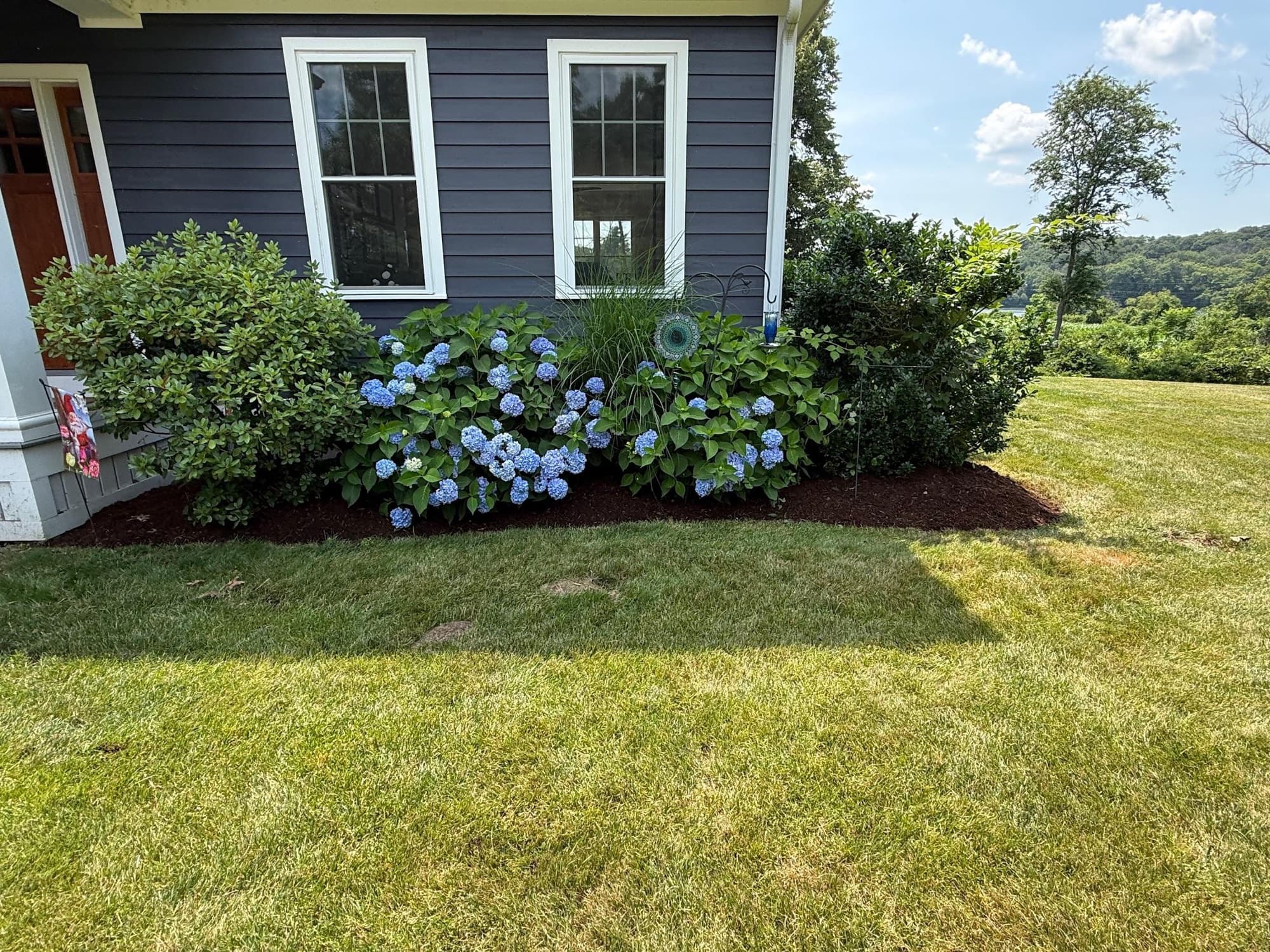 Freshly planted hydrangea and ornamental grass bed along a stone wall